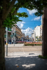 DSC 5736