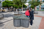 DSC 5733